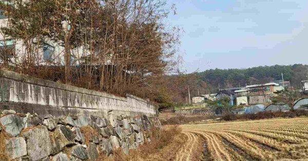 경기도 여주시 오학동 OOOOO 답 경매 물건 이미지