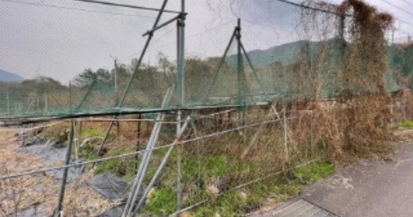 경상남도 사천시 송포동 OOOOOOO 과수원 경매 물건 이미지