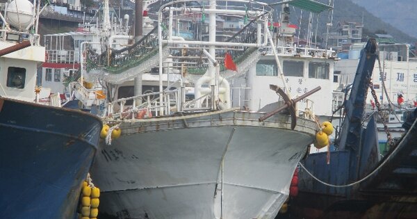 사천시 삼천포항(구항) 선박 경매 물건 이미지