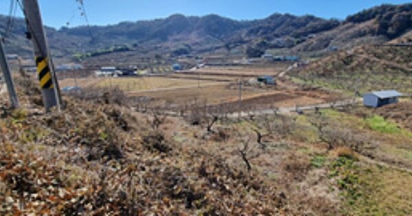 경상남도 창원시 의창구 북면 외산리 OOOO O OOO 과수원 경매 물건 이미지