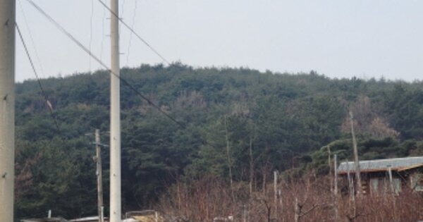 경상북도 청도군 청도읍 신도리 OOOOOO 임야 경매 물건 이미지