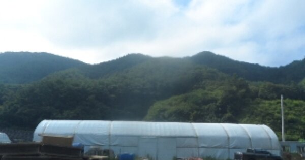 강원특별자치도 영월군 주천면 신일리 OOOO O OOOO 임야 경매 물건 이미지