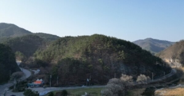 강원특별자치도 정선군 정선읍 덕우리 OOOOO 임야 경매 물건 이미지