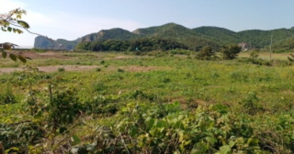 인천광역시 옹진군 백령면 연화리 OOOOOO 전 경매 물건 이미지