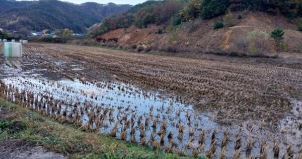 충청남도 청양군 운곡면 영양리 OOOOO O OOO 답 경매 물건 이미지