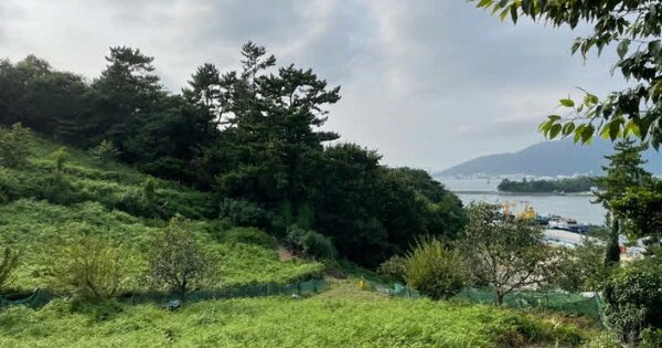 경상남도 사천시 신수동 OOOOO 임야 경매 물건 이미지