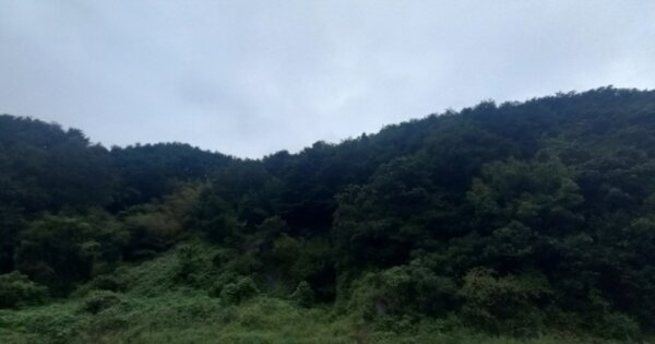 경상남도 산청군 산청읍 병정리 OOOOO 임야 경매 물건 이미지