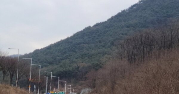 대구광역시 달서구 도원동 OOOOO 임야 경매 물건 이미지