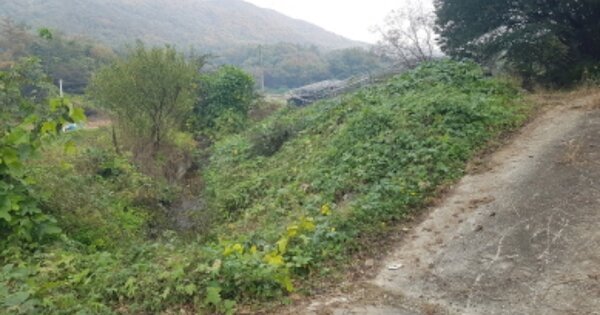 경기도 안성시 고삼면 쌍지리 OOO 전 경매 물건 이미지