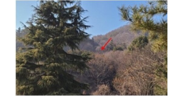 전라남도 무안군 삼향읍 남악리 OOOOOO 임야 경매 물건 이미지