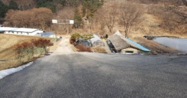 강원특별자치도 춘천시 사북면 오탄리 OOO O OOO 전 경매 물건 이미지