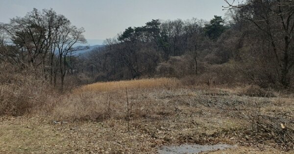 경기도 성남시 수정구 금토동 OOO 전 경매 물건 이미지