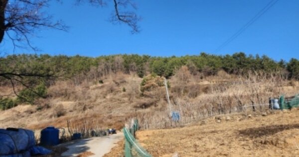 전라남도 여수시 화양면 이목리 OOOO 임야 경매 물건 이미지