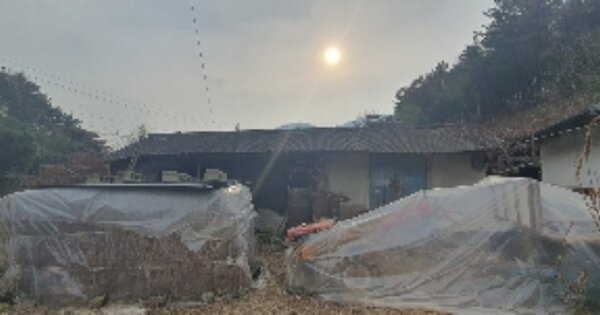 경상남도 함안군 군북면 수곡리 OOO 대지 경매 물건 이미지