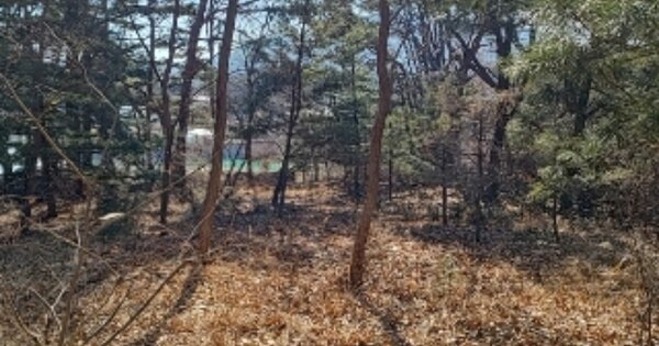 인천광역시 강화군 양사면 인화리 OOO 임야 경매 물건 이미지