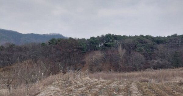 충청남도 청양군 비봉면 사점리 OOO 임야 경매 물건 이미지