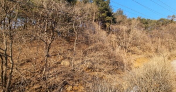경기도 가평군 청평면 상천리 OOOOO 임야 경매 물건 이미지