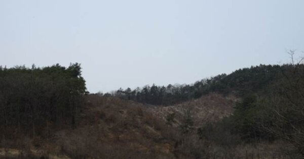 경상북도 상주시 중동면 오상리 OOO 임야 경매 물건 이미지