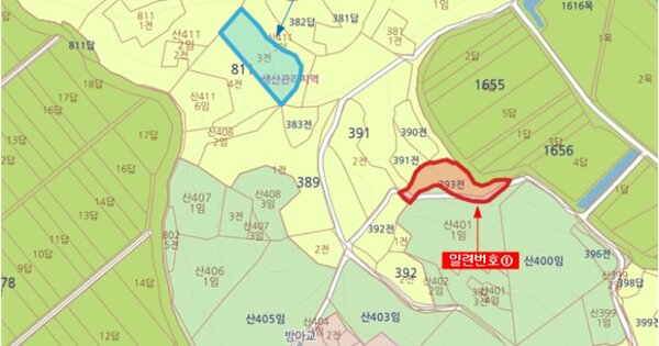 전라남도 신안군 지도읍 광정리 OOO 전 경매 물건 이미지