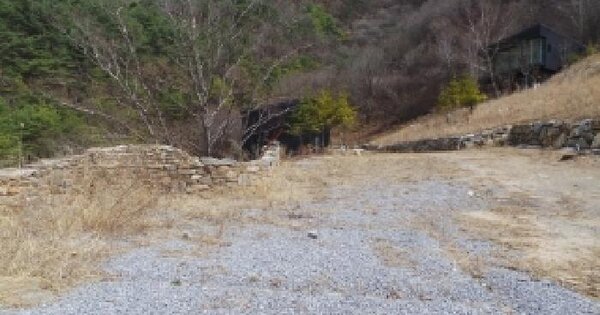 강원특별자치도 평창군 평창읍 주진리 OOOOOO O OOO 임야 경매 물건 이미지