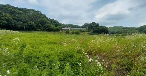 충청남도 공주시 탄천면 정치리 OOOOO 답 경매 물건 이미지