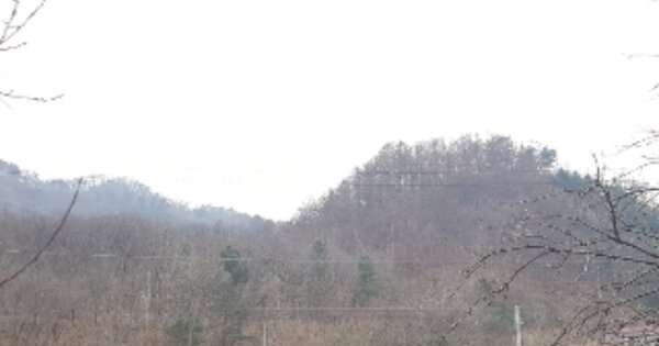 강원특별자치도 춘천시 남산면 산수리 OOOO 임야 경매 물건 이미지