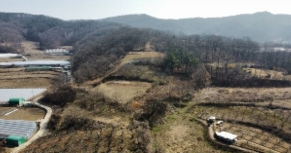 경상북도 김천시 문당동 OOOO 임야 경매 물건 이미지