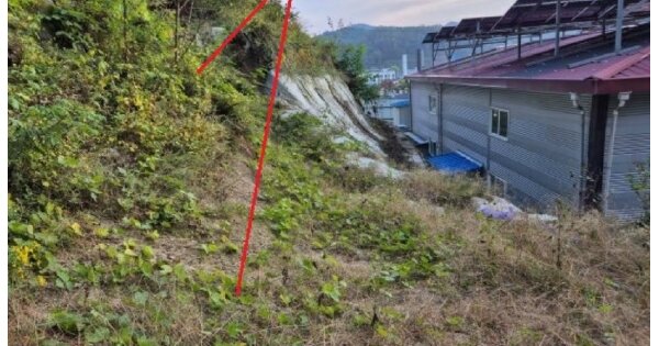 충청북도 제천시 천남동 OOOOO O OOO 임야 경매 물건 이미지