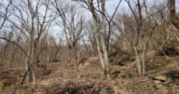 전라남도 구례군 문척면 중산리 OOOOO O OOO 임야 경매 물건 이미지