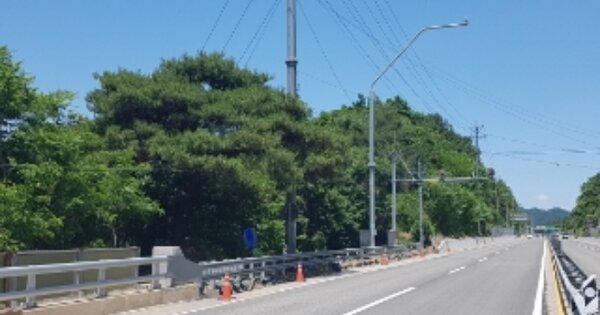 강원특별자치도 홍천군 남면 양덕원리 OOO 임야 경매 물건 이미지