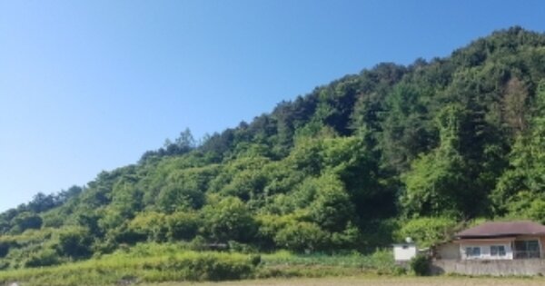 강원특별자치도 춘천시 동산면 조양리 OOO 과수원 경매 물건 이미지