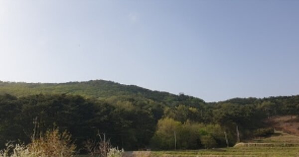 충청남도 예산군 덕산면 복당리 OOO 임야 경매 물건 이미지