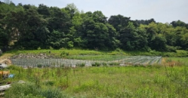 충청북도 충주시 산척면 송강리 OOOOO 답 경매 물건 이미지
