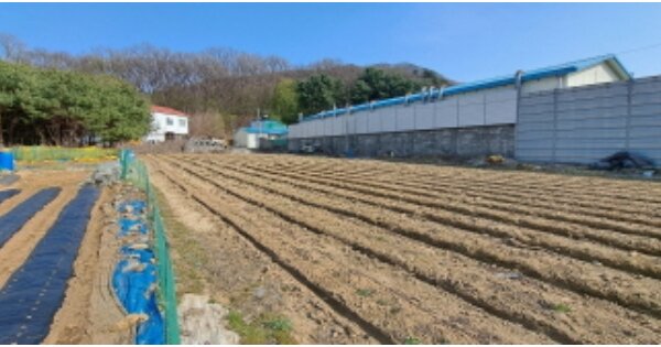 경기도 양주시 백석읍 복지리 OOO O OOO 답 경매 물건 이미지