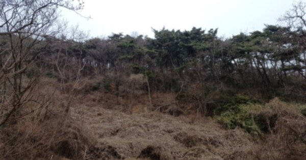 인천광역시 옹진군 덕적면 진리 OOOO 임야 경매 물건 이미지