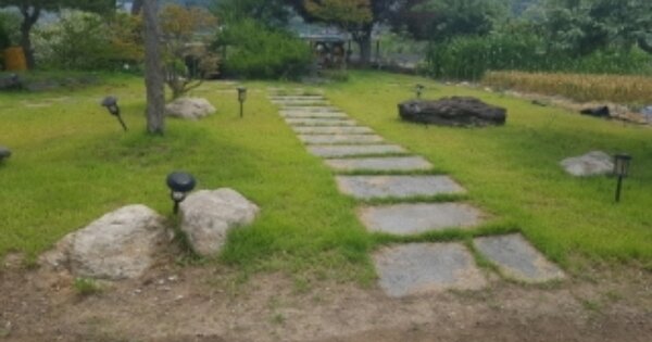 충청남도 아산시 음봉면 월랑리 OOOOOO 임야 경매 물건 이미지