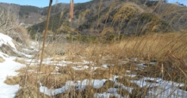전북특별자치도 정읍시 산내면 장금리 OOOOOO 임야 경매 물건 이미지
