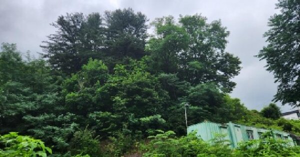 경기도 가평군 상면 항사리 386-29  미지정 경매 물건 이미지