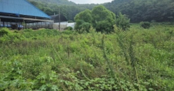 충청남도 아산시 음봉면 월랑리 OO 답 경매 물건 이미지