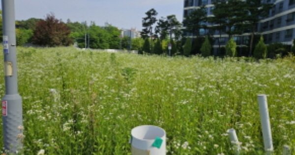 경기도 수원시 권선구 권선동 OOOOOOO 대지 경매 물건 이미지