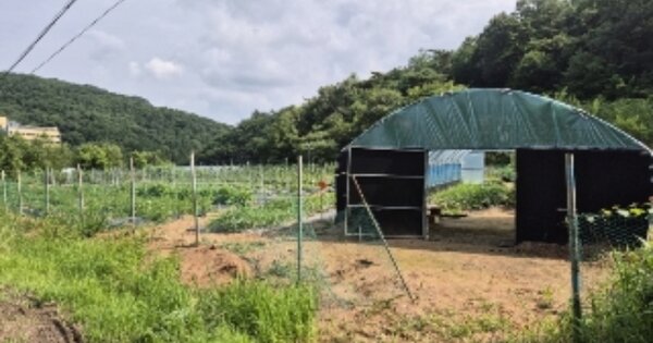전라남도 담양군 대덕면 용대리 OOO 답 경매 물건 이미지
