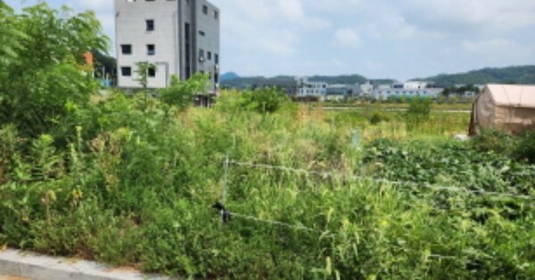 대전광역시 유성구 둔곡동 OOOOO 대지 경매 물건 이미지