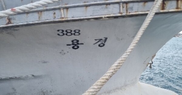 제주특별자치도 서귀포시 OOO 선박 경매 물건 이미지