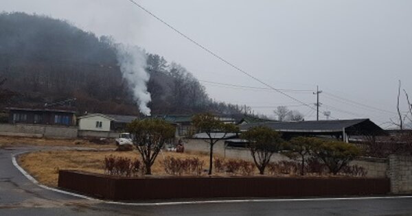 경상북도 의성군 사곡면 음지리 OOO O OOO 대지 경매 물건 이미지