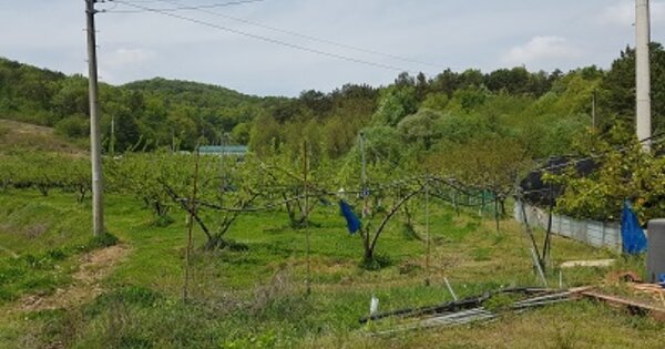 경상북도 의성군 단밀면 용곡리 OOOO O OOO 답 경매 물건 이미지