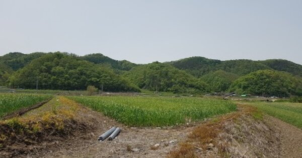 경상북도 의성군 가음면 귀천리 OOO 답 경매 물건 이미지
