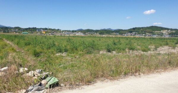 경상남도 함양군 함양읍 용평리 OOO 답 경매 물건 이미지