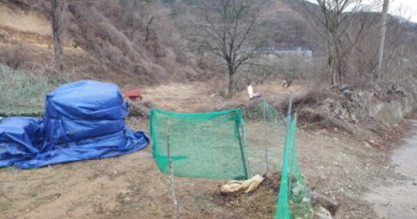 경상북도 경주시 양남면 나산리 OOO 전 경매 물건 이미지