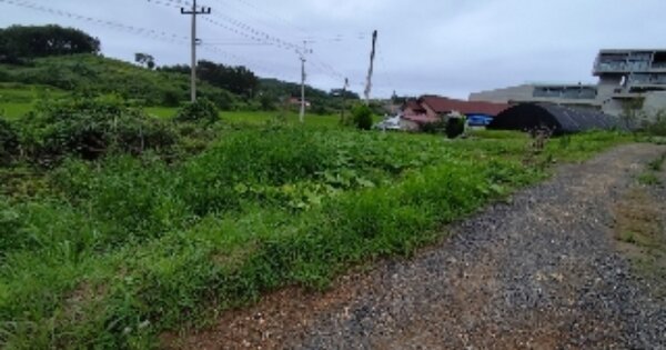충청남도 보령시 웅천읍 독산리 OOOOO 전 경매 물건 이미지