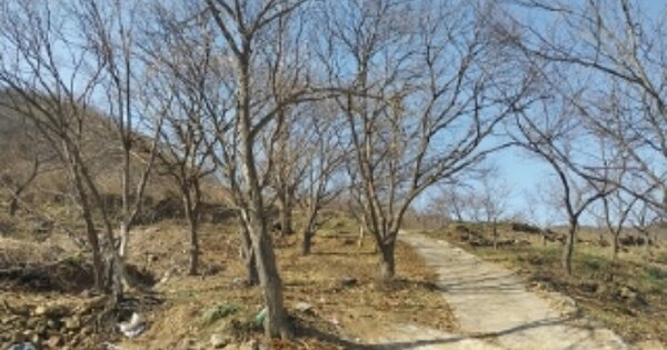 충청남도 청양군 장평면 화산리 OOOOO 전 경매 물건 이미지